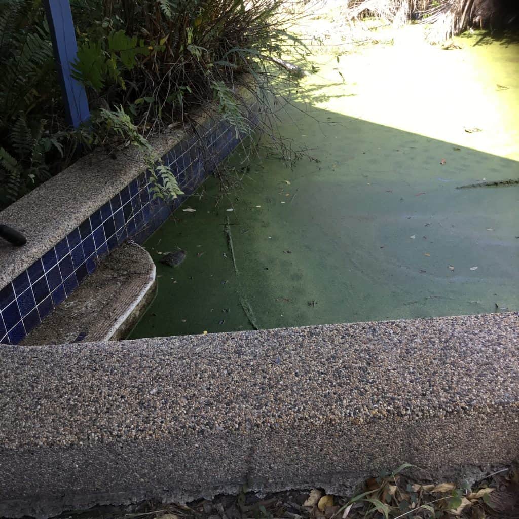 Pool Renovation
